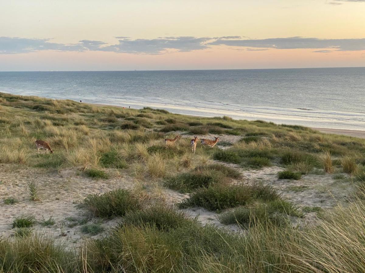 Apartamento Zwarte Vis Zandvoort Exterior foto